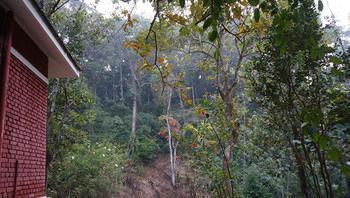 Falling Waters Munnar Eksteriør billede